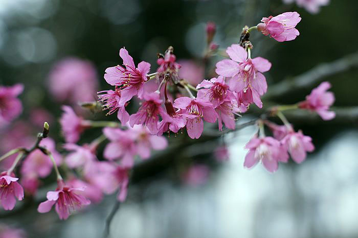 nEO_IMG__DSC4023.jpg