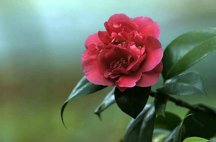nEO_IMG__DSC3558.jpg