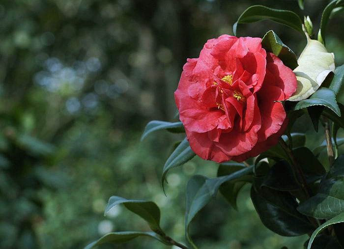 nEO_IMG__DSC3259.jpg
