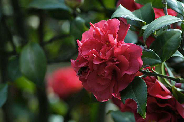 nEO_IMG__DSC3285.jpg