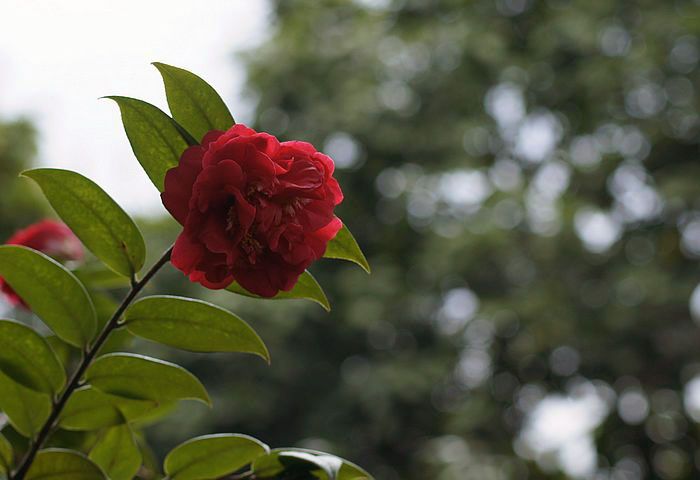 nEO_IMG__DSC3430.jpg