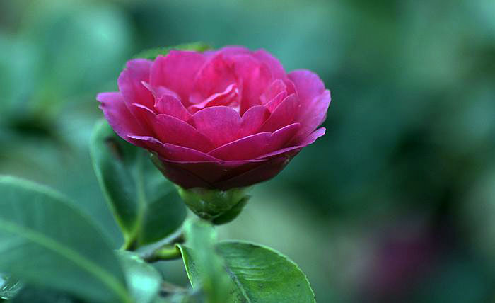 nEO_IMG__DSC3535.jpg
