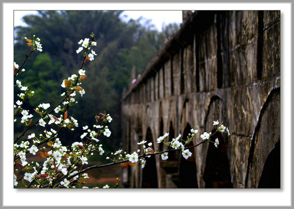DSC00021.JPG