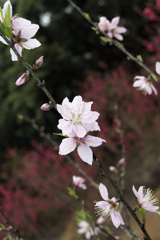 a8956430_s.jpg