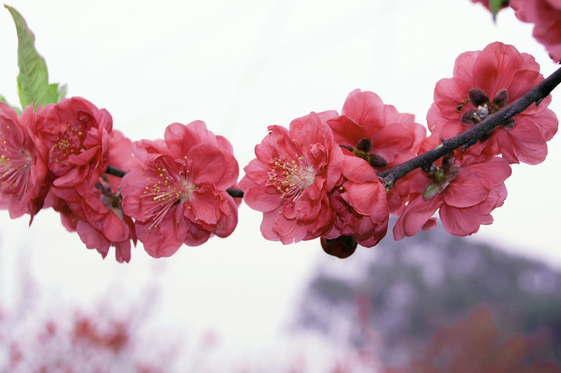 a8956497_s.jpg