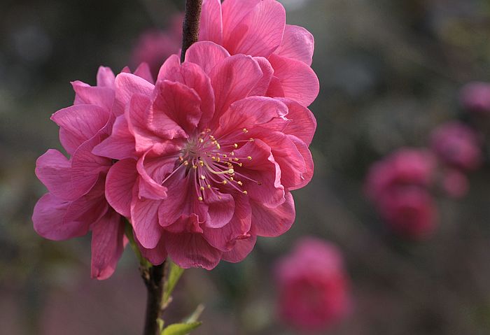 nEO_IMG__DSC5418.jpg