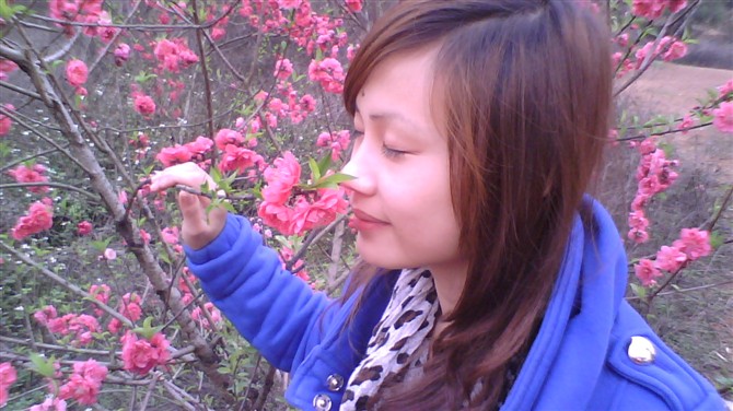 桃花7.jpg