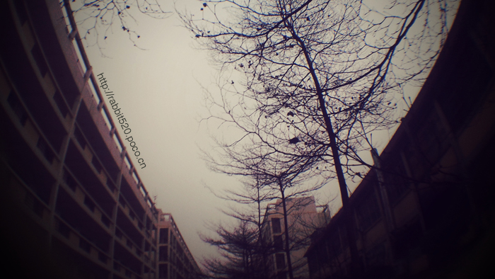 C360_2011-03-02 17-31-31 副本.JPG
