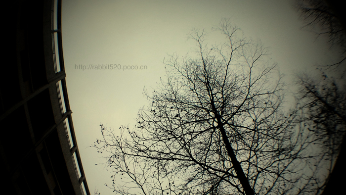 C360_2011-03-02 17-26-42 副本.JPG