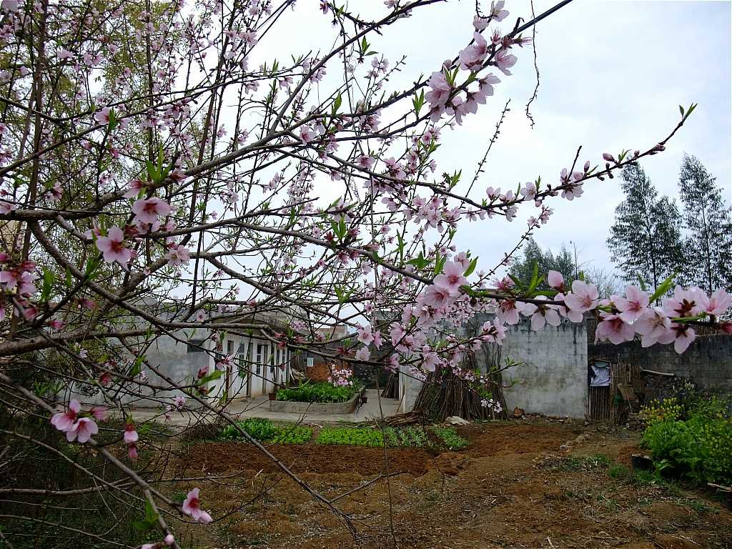DSCF4643.JPG
