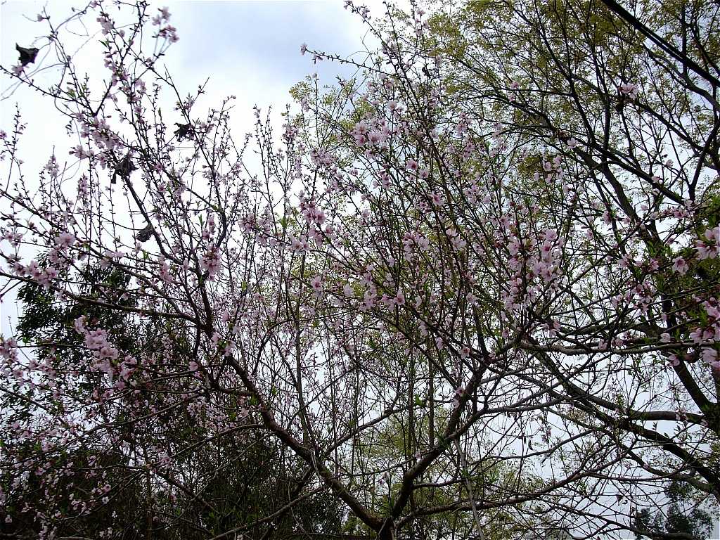 DSCF4641.JPG