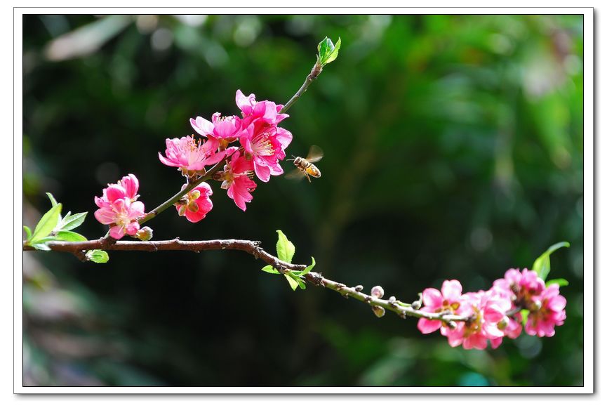 DSC_0226_conew1.JPG
