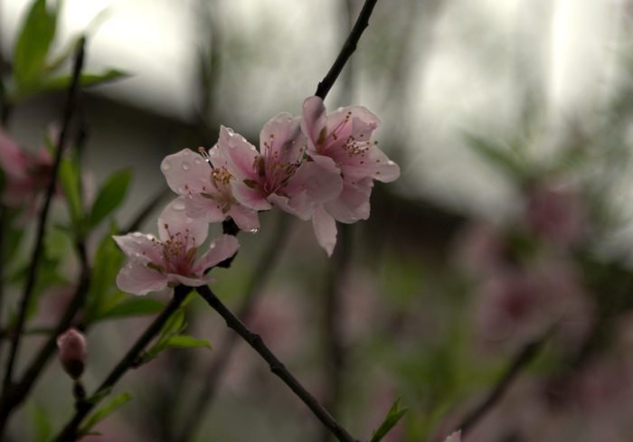 DSC_3463.jpg