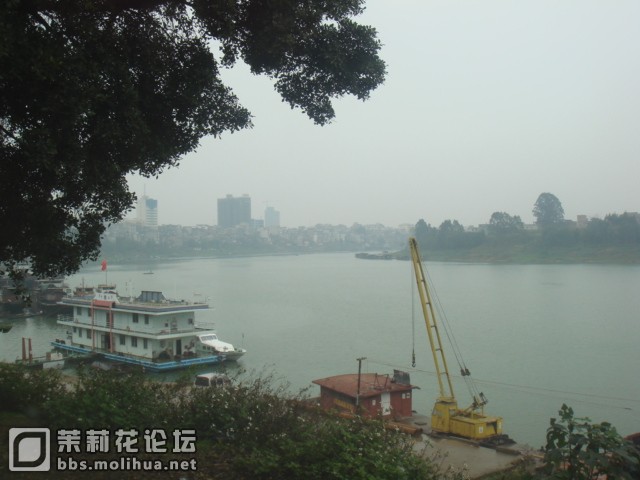 DSC01351.JPG