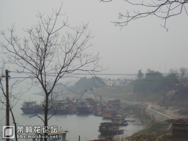 DSC01352.JPG
