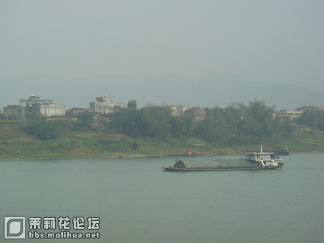 DSC01375.JPG