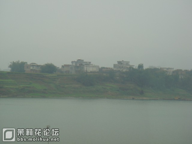 DSC01353.JPG