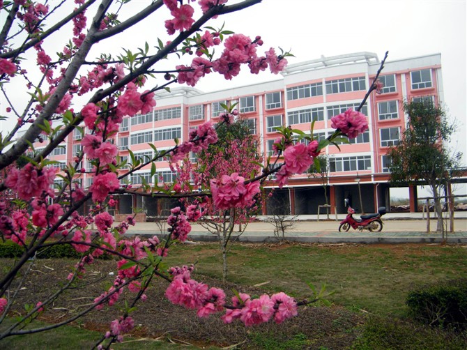 http_imgloadCAEHK8B1.jpg
