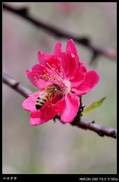 DSC_0729_conew2.jpg
