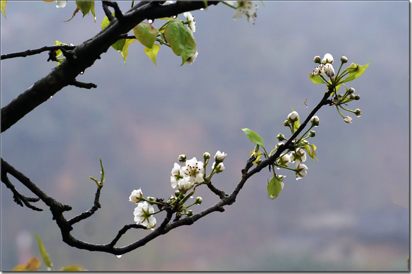 DSC01616_副本.jpg