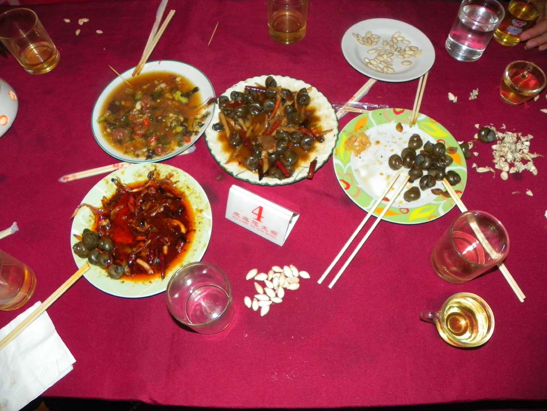 100_2685.JPG