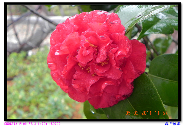 DSCN2119.JPG