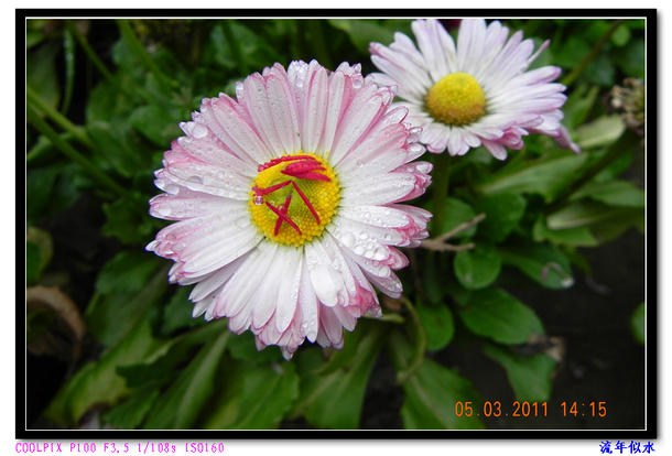 DSCN2126.JPG