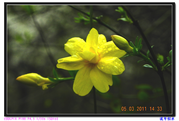 DSCN2135.JPG