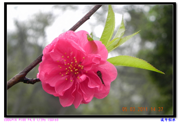 DSCN2145.JPG