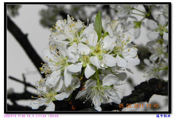 DSCN2153.JPG