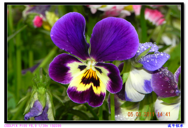 DSCN2155.JPG