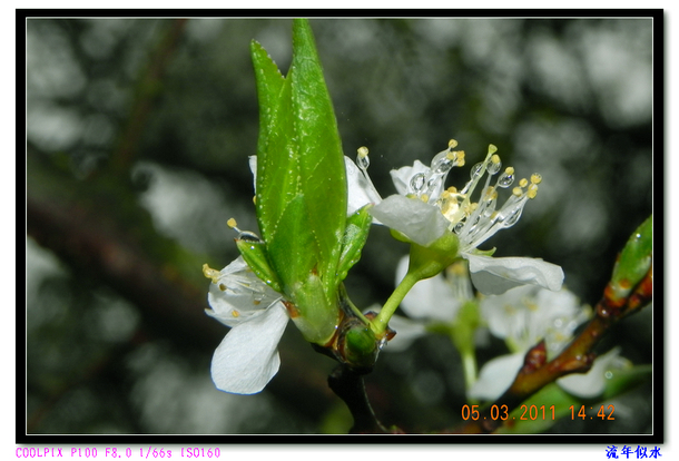 DSCN2158.JPG