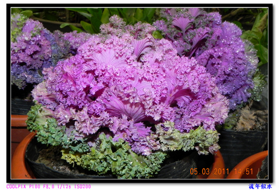DSCN2169.JPG