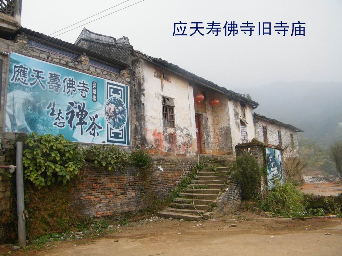 DSCF2972.jpg