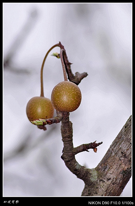 DSC_0119_conew2.jpg
