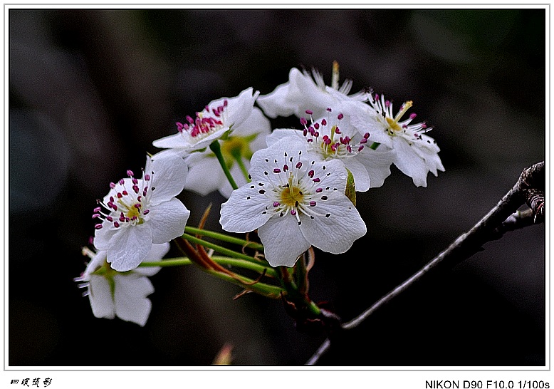 DSC_0109_conew2.jpg