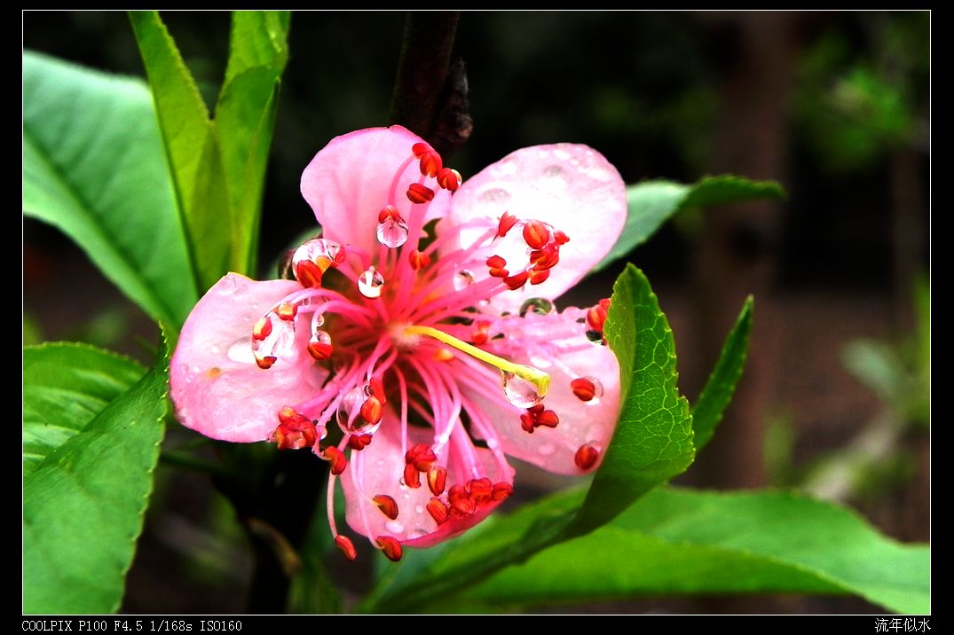 DSCN2786.JPG
