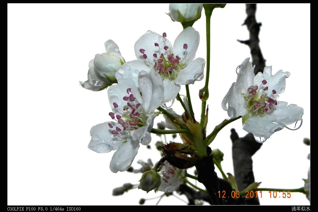 DSCN2701.JPG