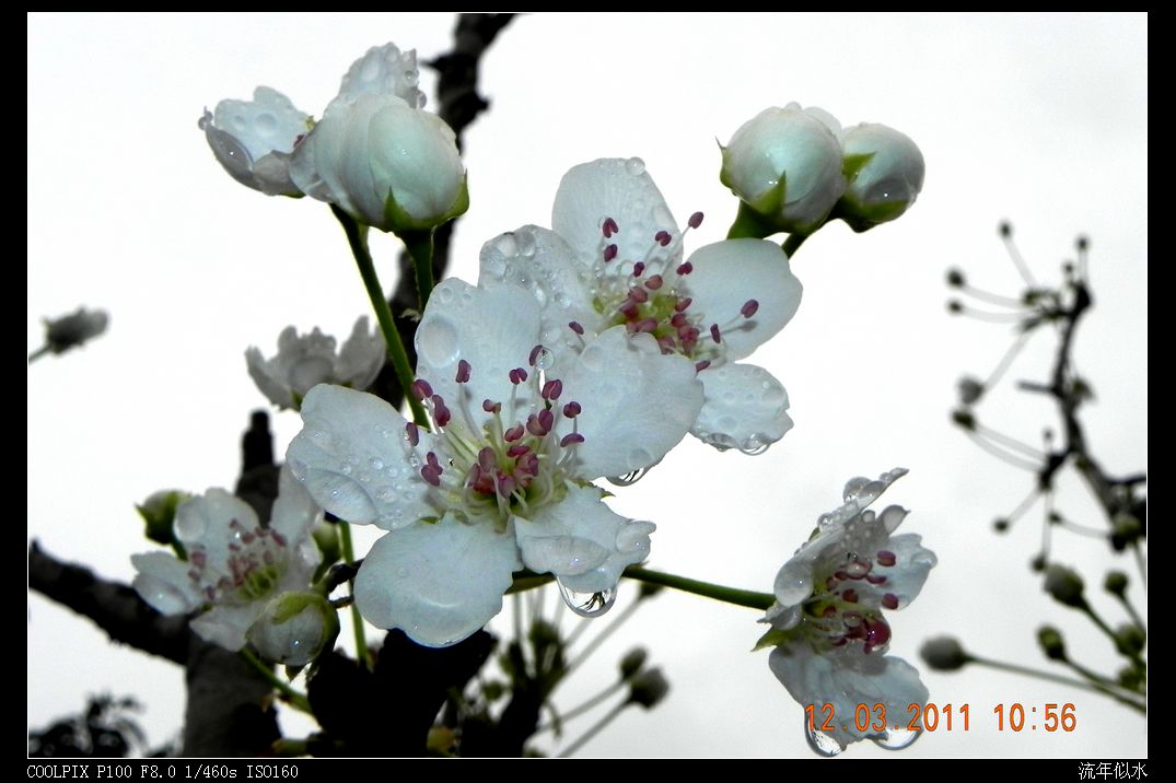 DSCN2702.JPG