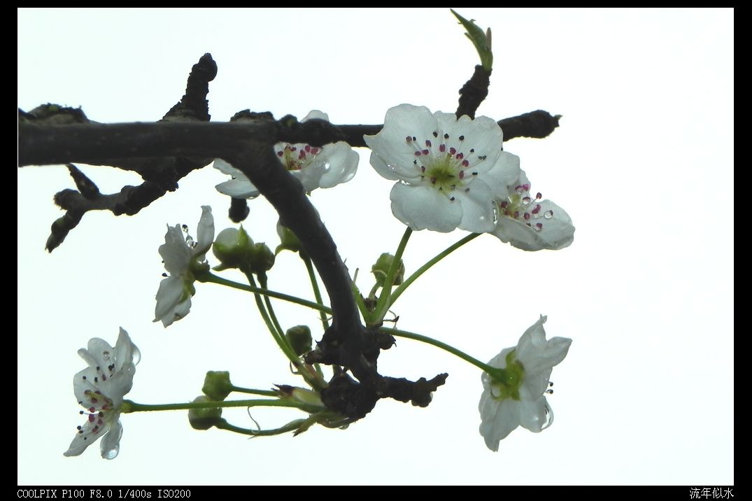 DSCN2726.JPG