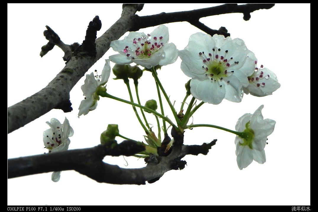 DSCN2729.JPG
