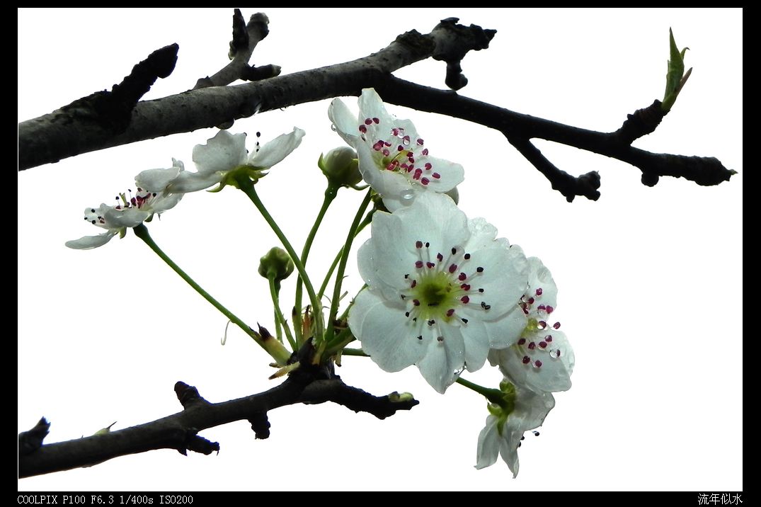 DSCN2731.JPG