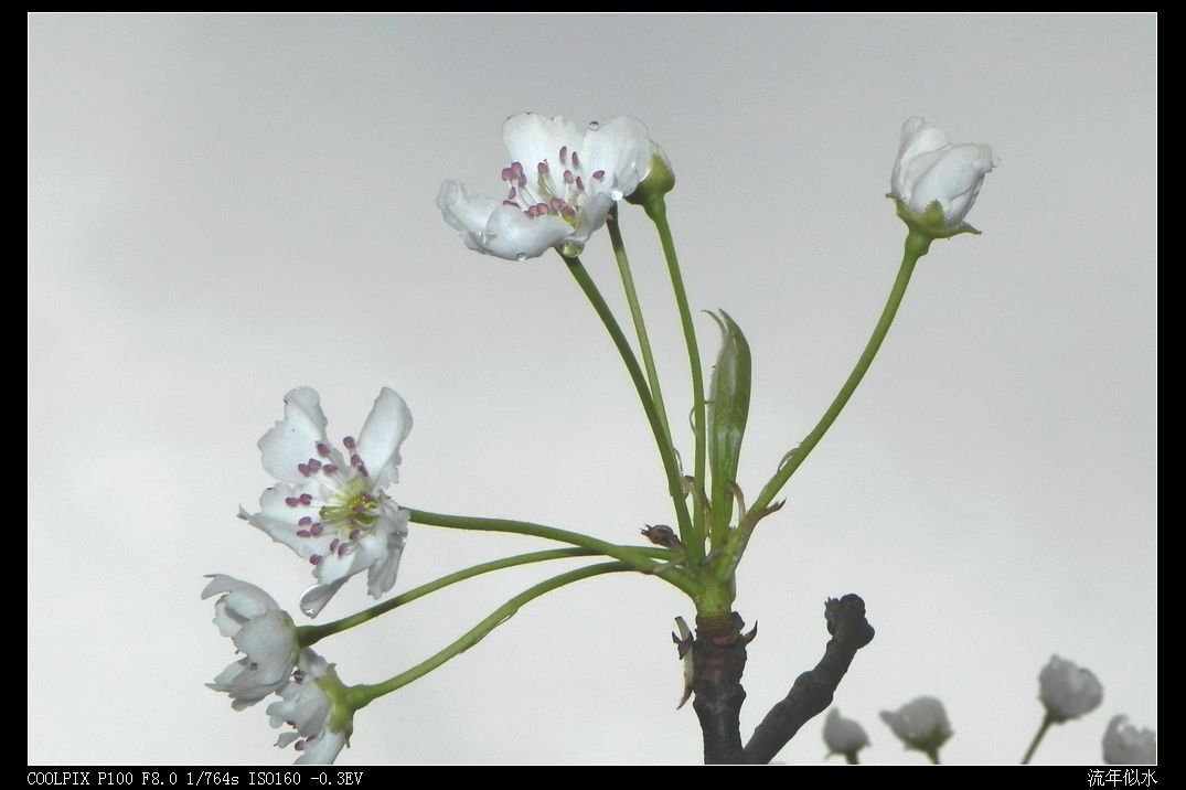 DSCN2759.JPG