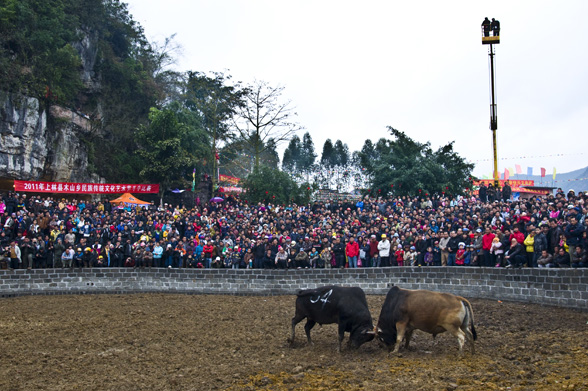 DSC_0154x3.jpg