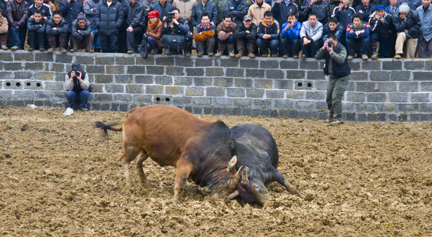 DSC_0260x12.jpg