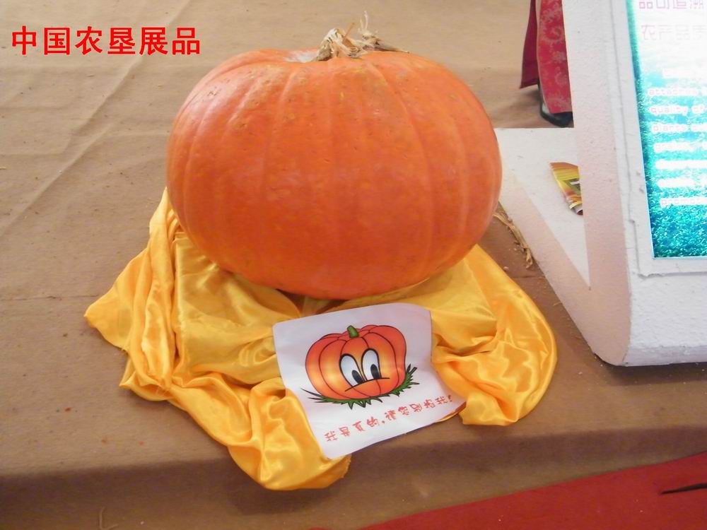 DSCF2389.JPG