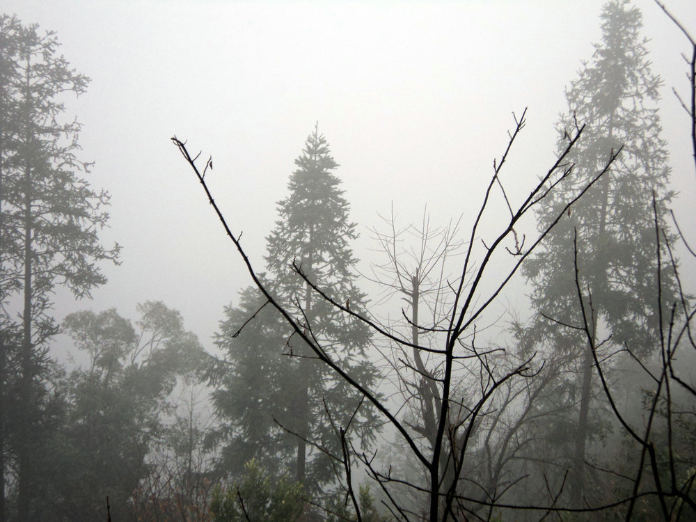 DSC00026.JPG