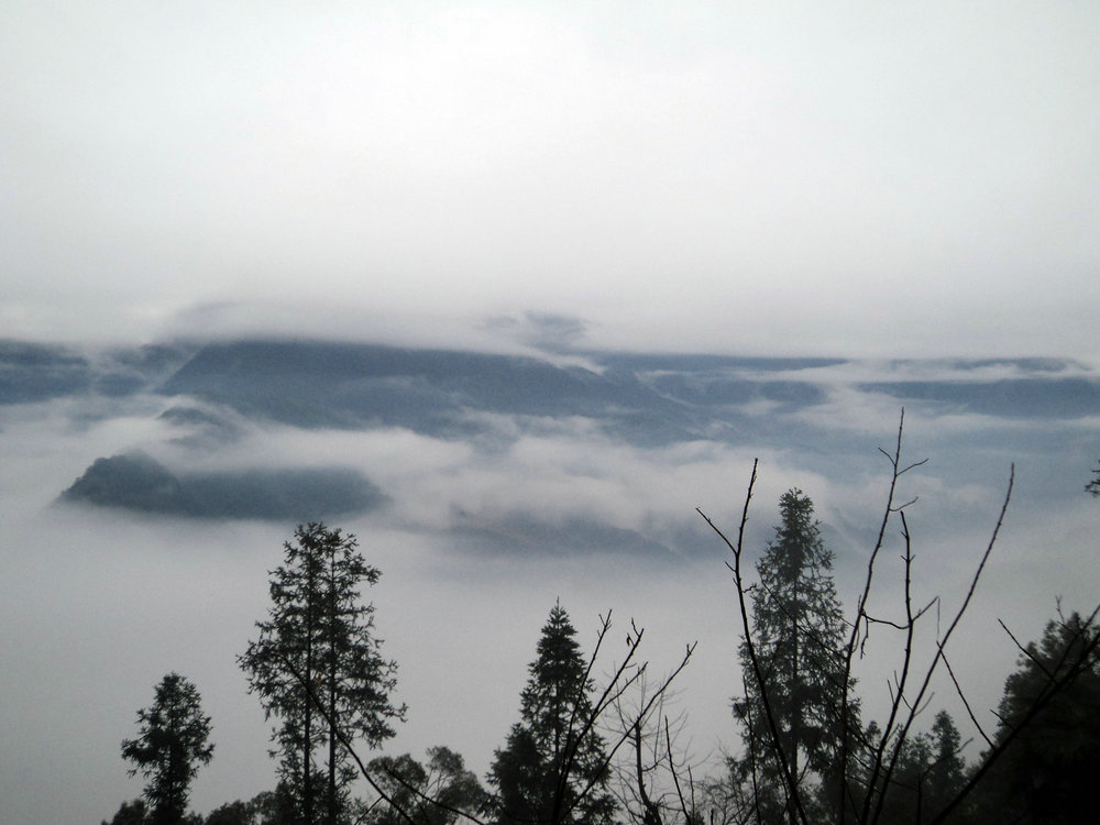 DSC00036.JPG