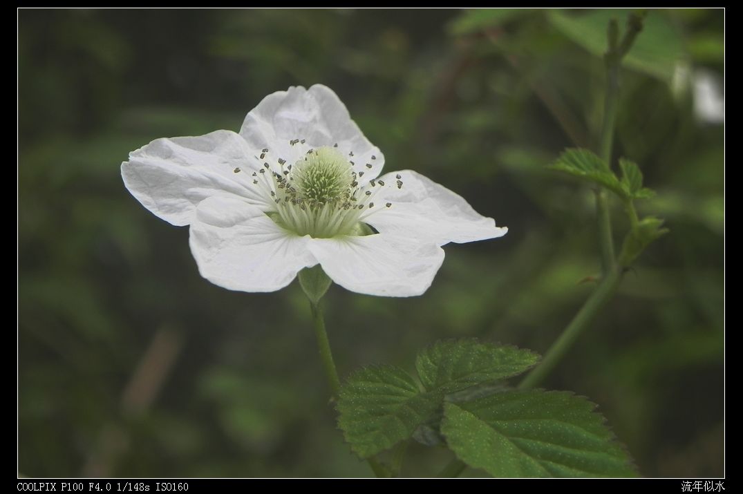 DSCN2907.JPG