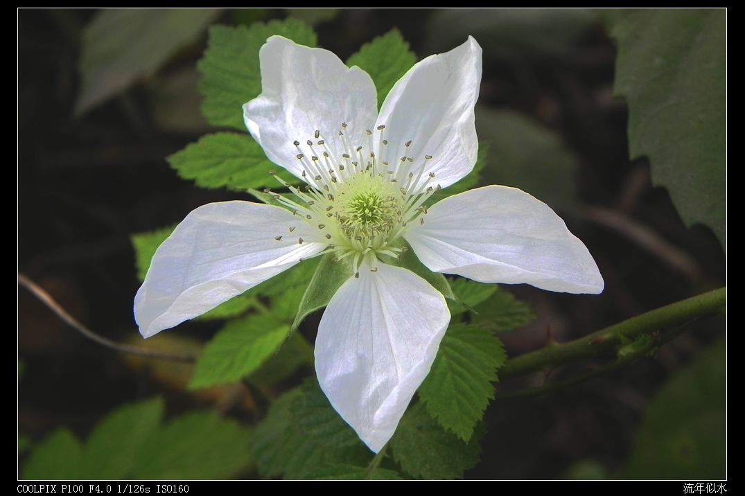 DSCN2932.JPG